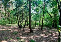 Działka budowlana Borzymów. Zdjęcie 4