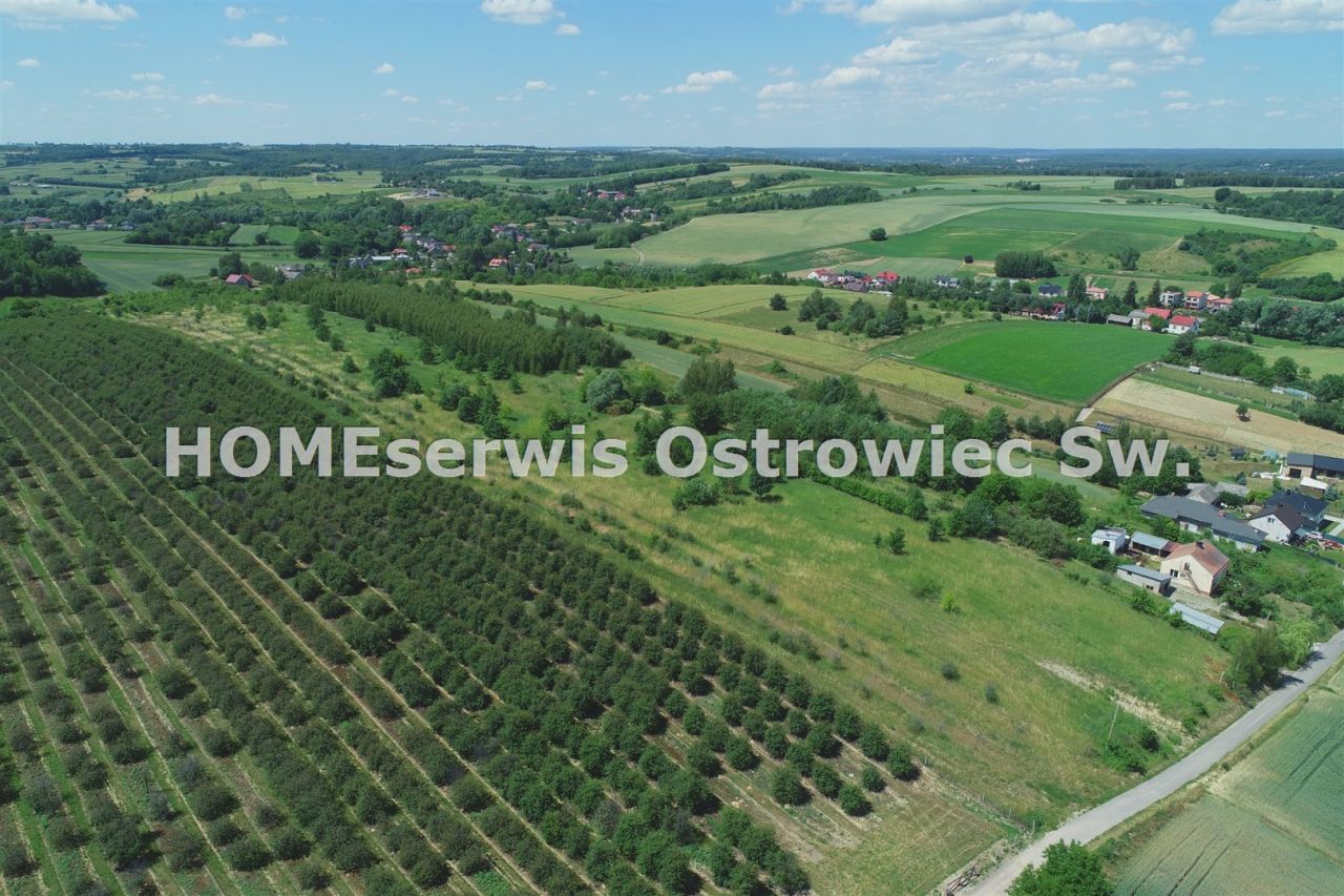 Działka budowlana Ostrowiec Świętokrzyski Częstocice. Zdjęcie 4