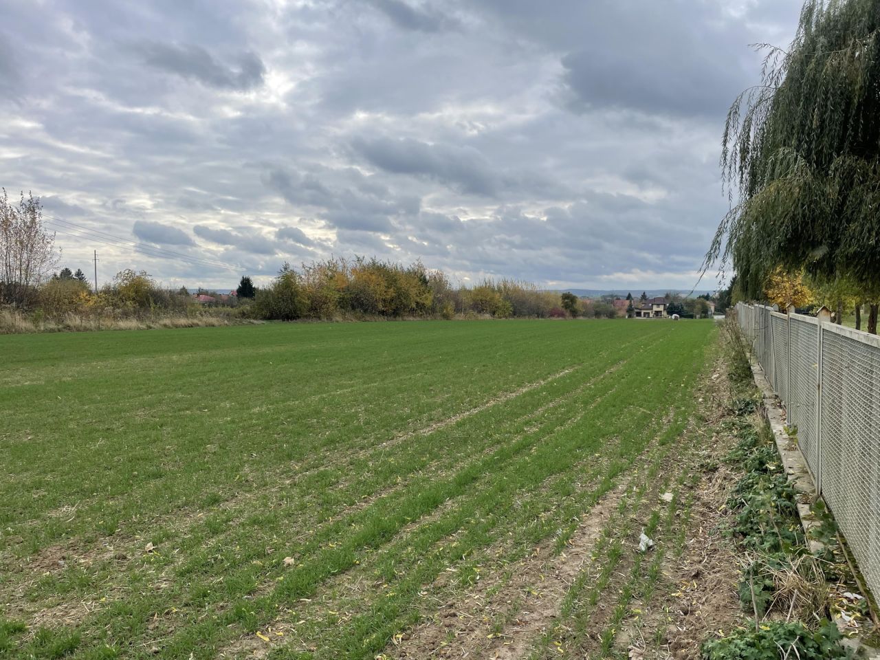 Działka budowlana Kalinowice. Zdjęcie 11