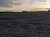 Działka rolna Gliwice Ostropa, ul. Ignacego Daszyńskiego. Zdjęcie 2