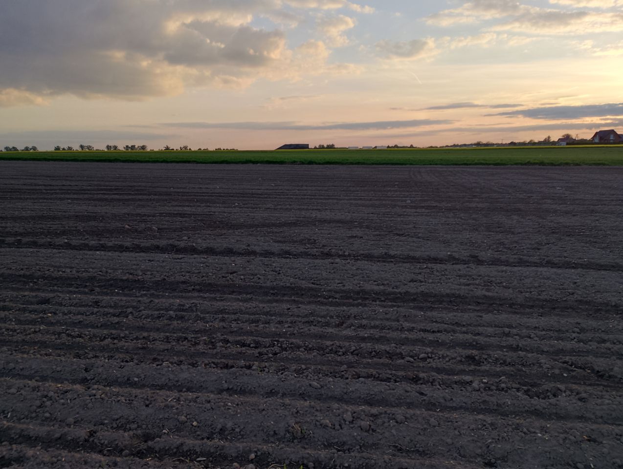 Działka rolna Gliwice Ostropa, ul. Ignacego Daszyńskiego. Zdjęcie 3