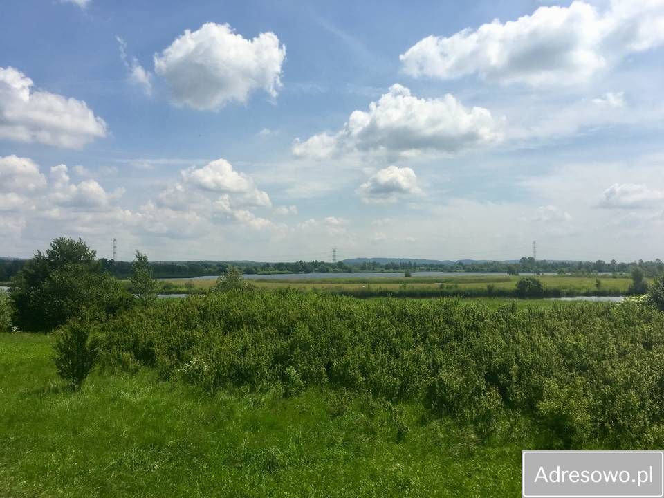 Działka rekreacyjna Jankowice. Zdjęcie 2