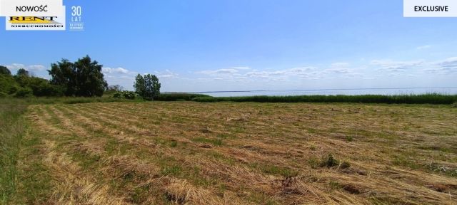 Działka rekreacyjna Płocin. Zdjęcie 12