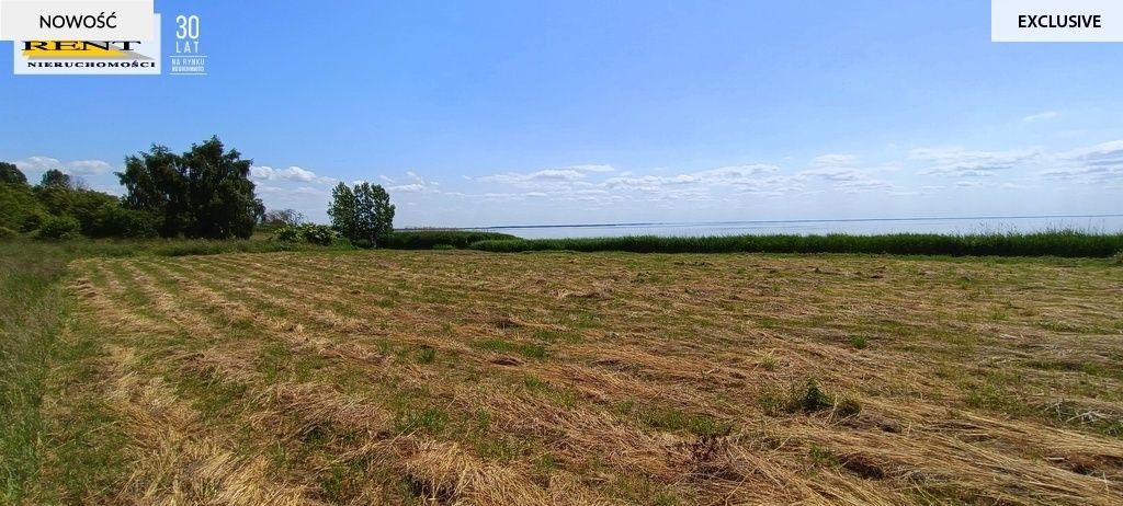 Działka rekreacyjna Płocin. Zdjęcie 12