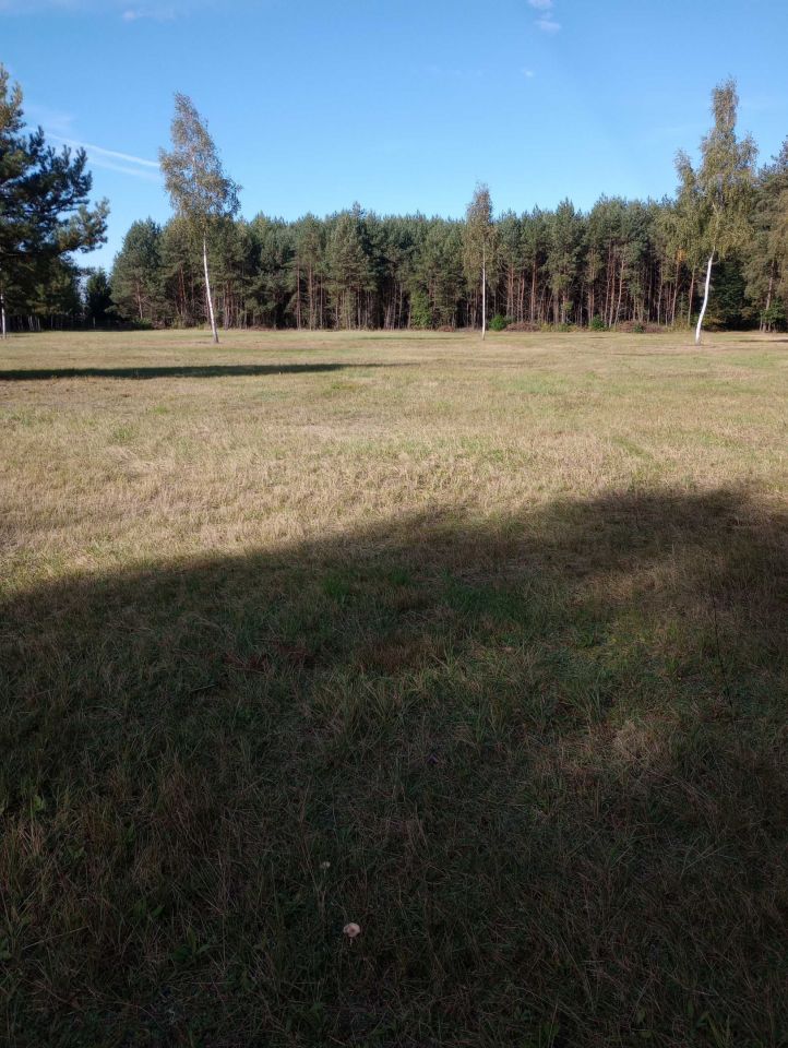 Działka rekreacyjna Radawa. Zdjęcie 5