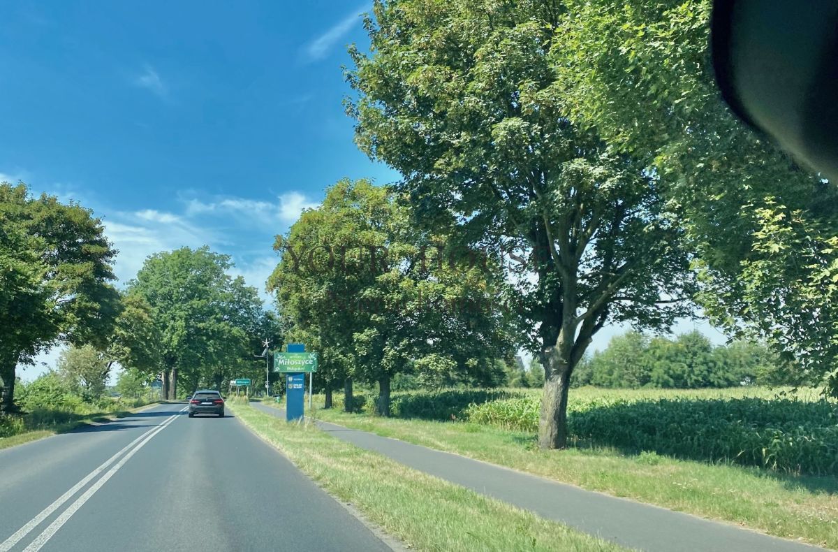 Działka budowlana Miłoszyce, ul. Adama Asnyka. Zdjęcie 4