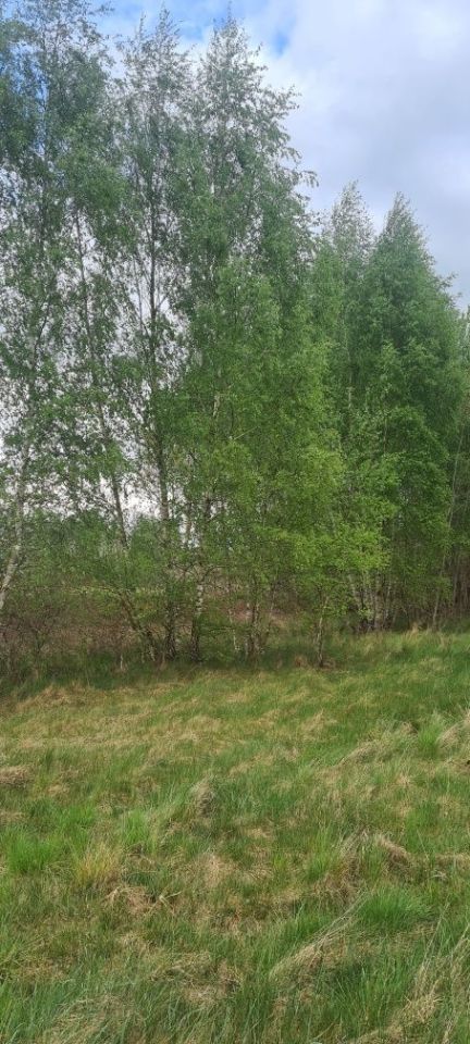 Działka rolno-budowlana Krasnołęka. Zdjęcie 6
