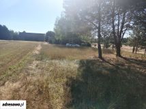 Działka rolno-budowlana Koziki. Zdjęcie 1