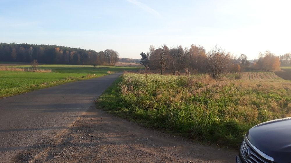 Działka rolno-budowlana Syberia. Zdjęcie 3