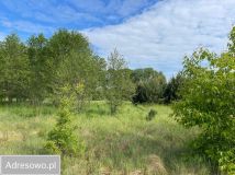 Działka budowlana Stare Krasnodęby. Zdjęcie 3