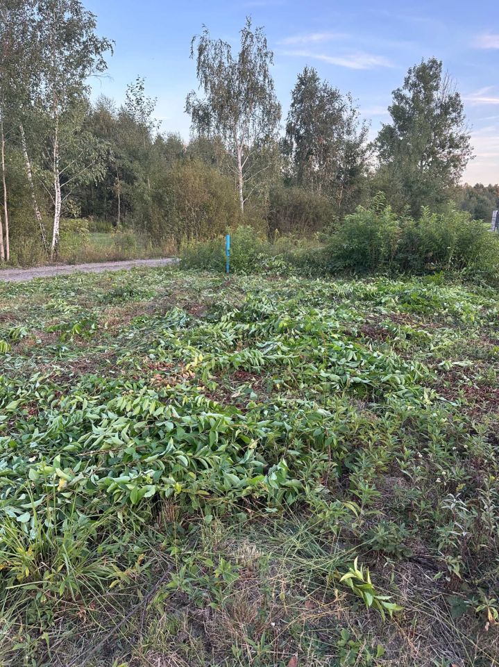 Działka budowlana Kołaków