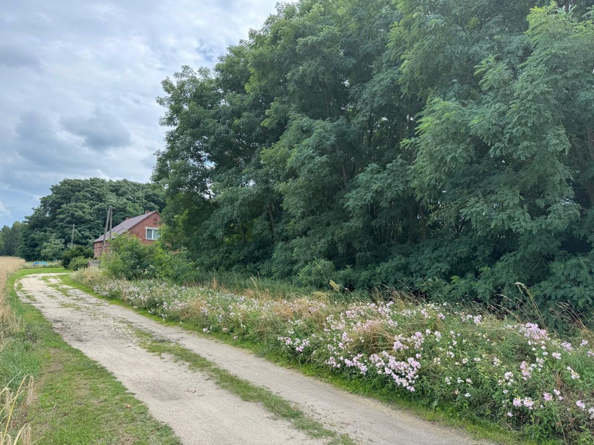 Działka budowlana Jankowa. Zdjęcie 5