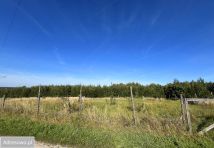 Działka rolno-budowlana Olchowa. Zdjęcie 2