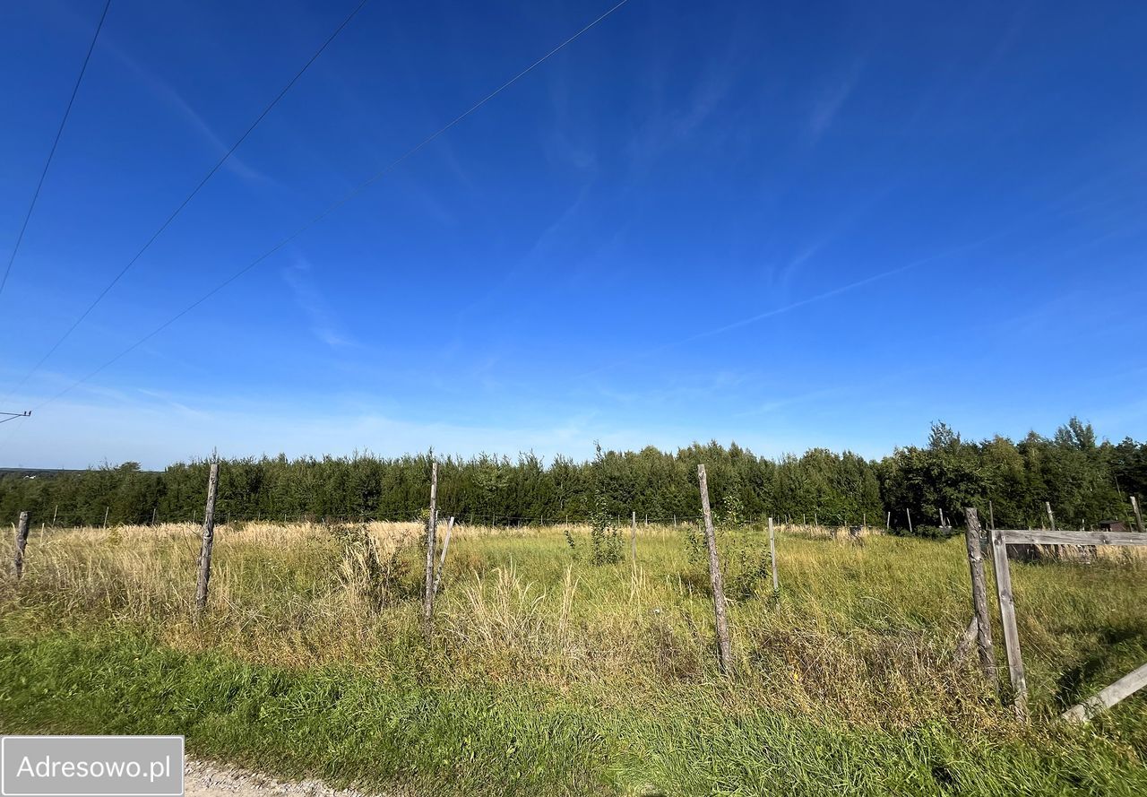 Działka budowlana Olchowa. Zdjęcie 3