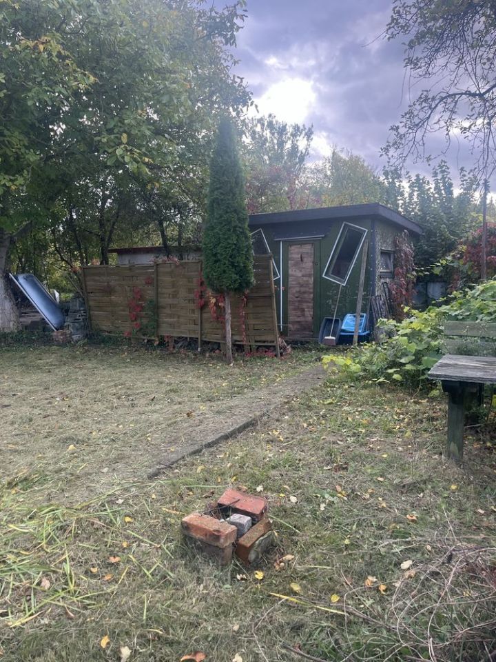 Działka rod Wrocław Psie Pole, ul. Czajcza. Zdjęcie 1