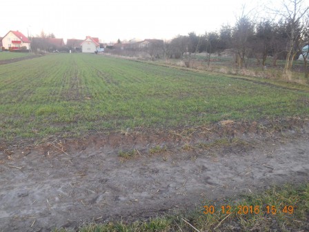 Działka inwestycyjna Głogów Brzostów, ul. Malinowa