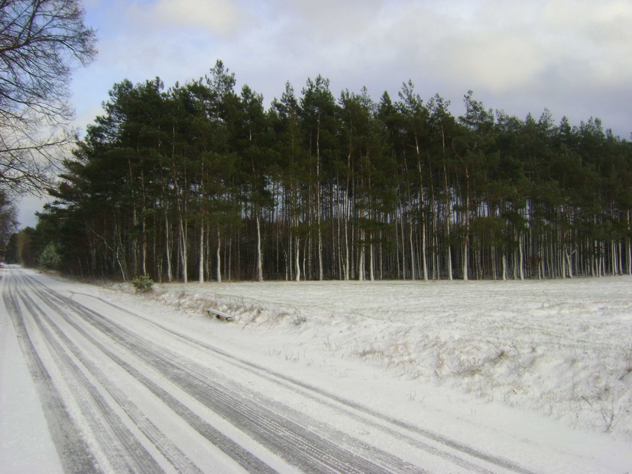 Działka leśna Duninów Duży. Zdjęcie 7