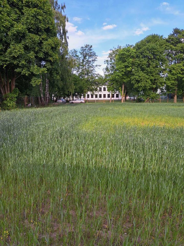 Działka rolno-budowlana Sierzchowy. Zdjęcie 4