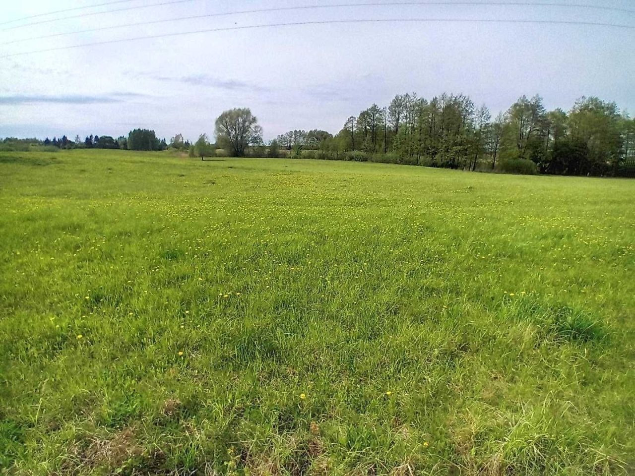 Działka inwestycyjna Świętajno