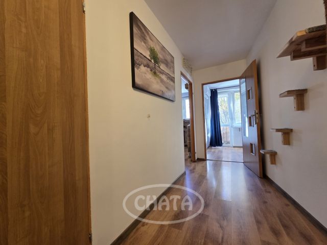 Mieszkanie 3-pokojowe Wrocław Śródmieście, ul. Szczęśliwa. Zdjęcie 6