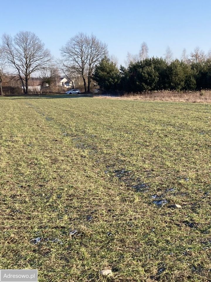 Działka rolna Brzezina, ul. Wieczysta. Zdjęcie 2