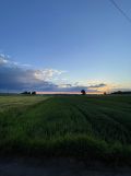 Działka siedliskowa Wierzchowisko Marianów. Zdjęcie 3