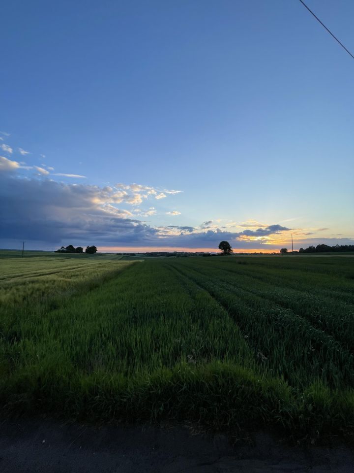 Działka siedliskowa Wierzchowisko Marianów. Zdjęcie 4