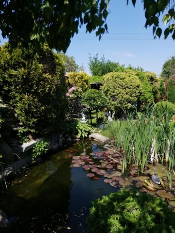 Działka rekreacyjna Polkowice. Zdjęcie 1