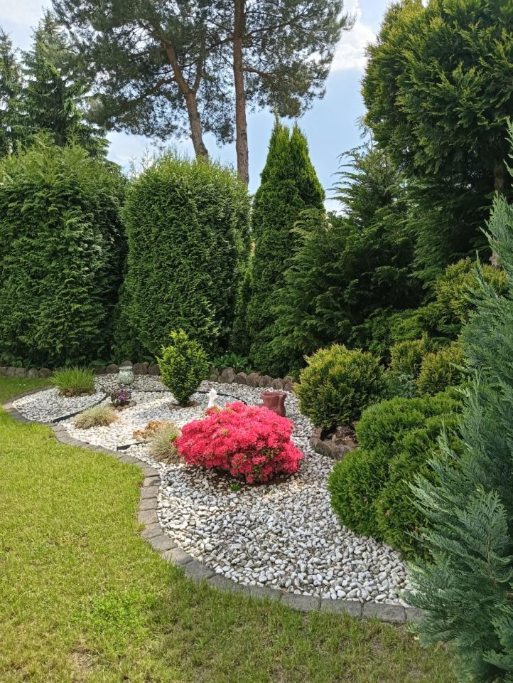 Działka rod Kalisz Szczypiorno, ul. Pogodna. Zdjęcie 5