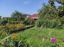 Działka rod Giżycko. Zdjęcie 1