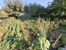 Działka rod Bielsko-Biała Wapienica, ul. Działkowców. Zdjęcie 2