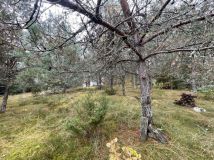 Działka rekreacyjna Kłączno. Zdjęcie 3