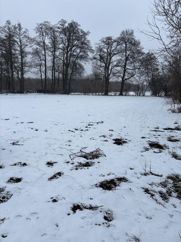 Działka rolno-budowlana Wojciechowice Duże. Zdjęcie 7