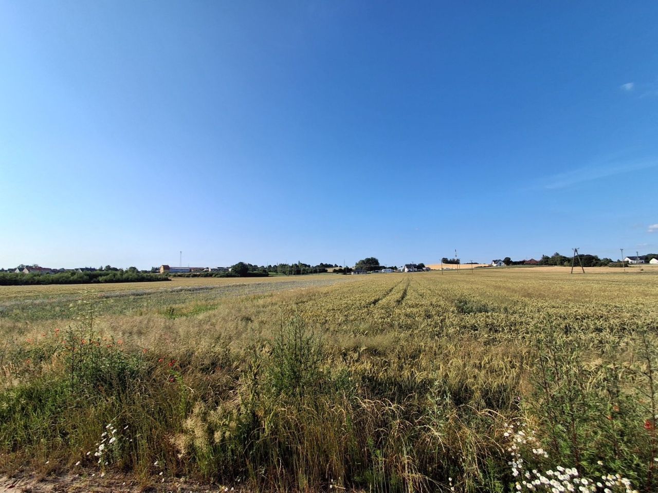 Działka rolno-budowlana Nidzica, ul. Miła. Zdjęcie 2