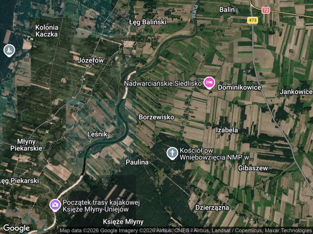 Działka siedliskowa Borzewisko. Zdjęcie 1