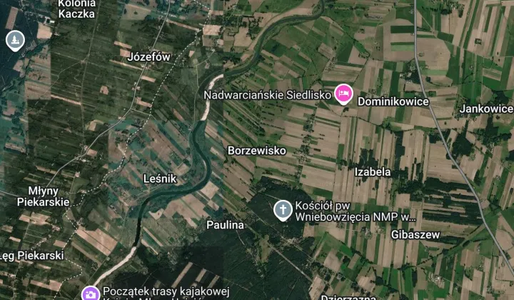 Działka siedliskowa Borzewisko