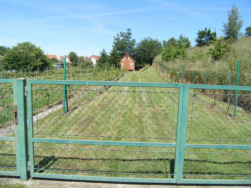 Działka rolno-budowlana Byczeń, -. Zdjęcie 3