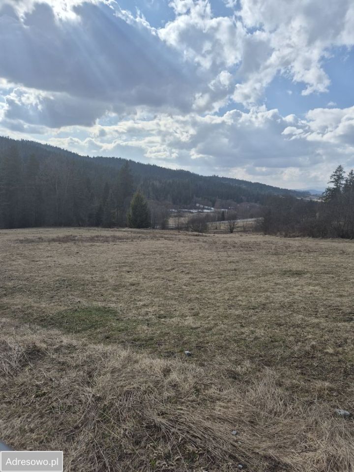 Działka rolna Podsarnie. Zdjęcie 8