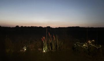 Działka rolna Tychy Wilkowyje, ul. Podleska