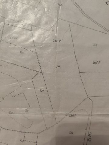 Działka leśna Kupienin. Zdjęcie 1