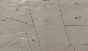 Działka leśna Kupienin