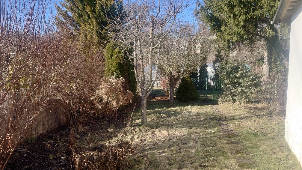 Działka rod Łódź, ul. Pustynna. Zdjęcie 6