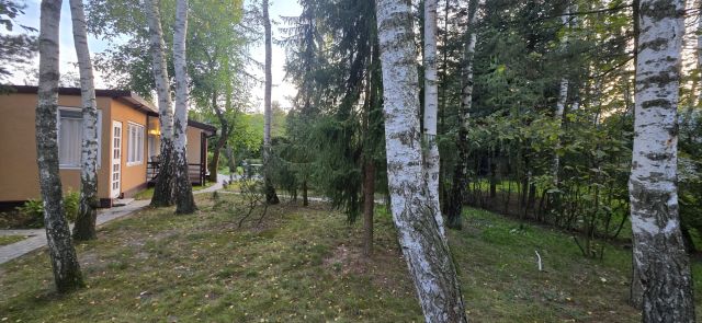 Działka rod Grochowa, ul. Zbigniewa Pawlaka. Zdjęcie 15