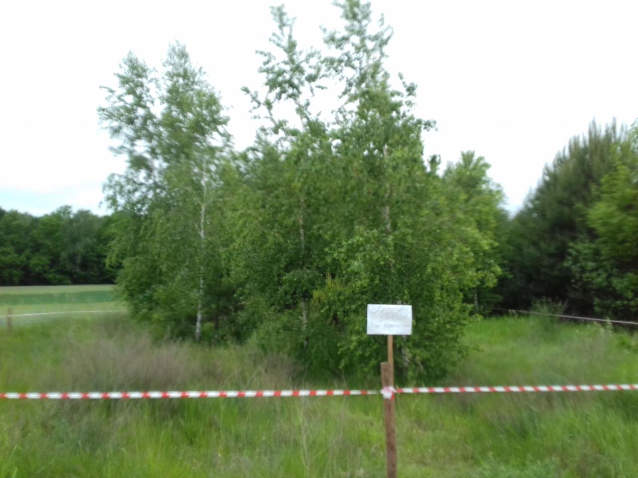Działka rolno-budowlana Węgrzynówek. Zdjęcie 8
