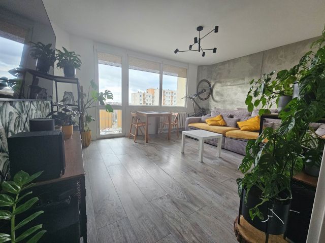 Mieszkanie 2-pokojowe Zielona Góra Centrum, ul. 1 Maja. Zdjęcie 1