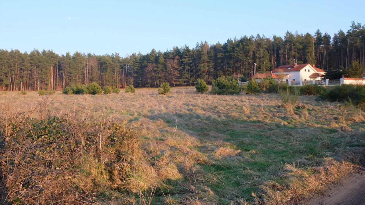 Działka rolna Drzewica. Zdjęcie 4