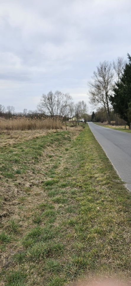 Działka budowlana Gostchorze