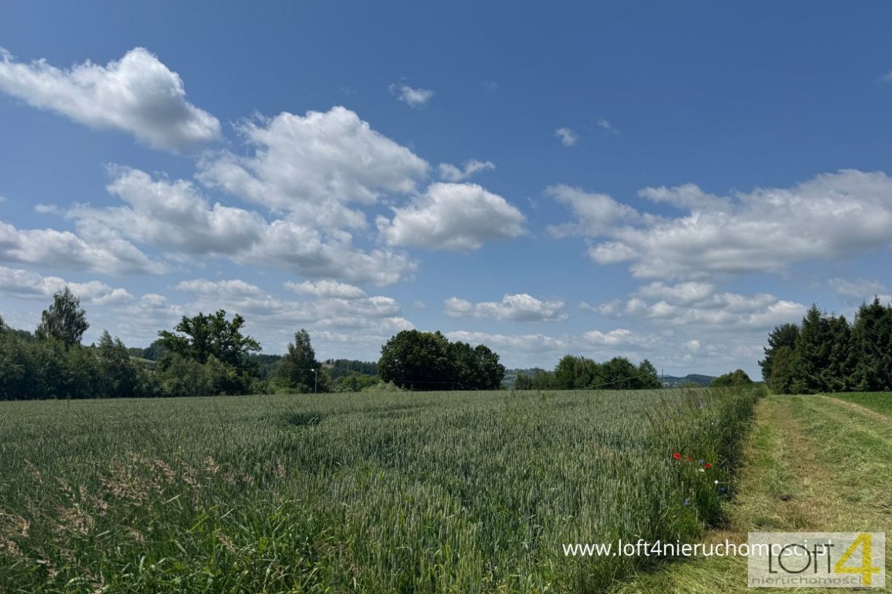 Działka budowlana Tuchów. Zdjęcie 2