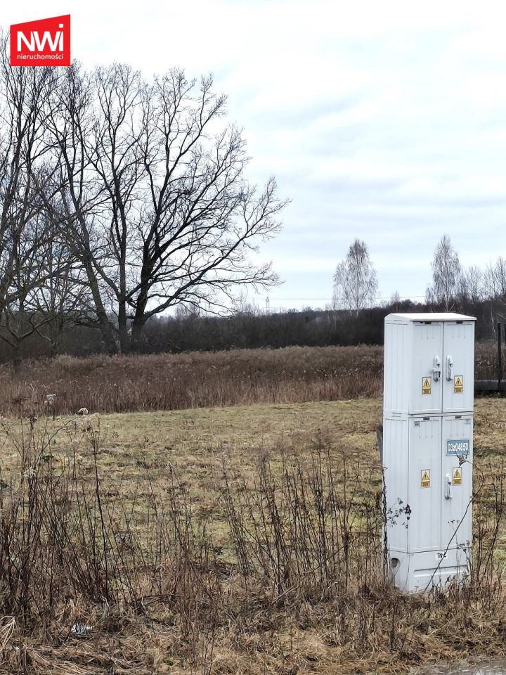 Działka budowlana Mrowiska. Zdjęcie 2