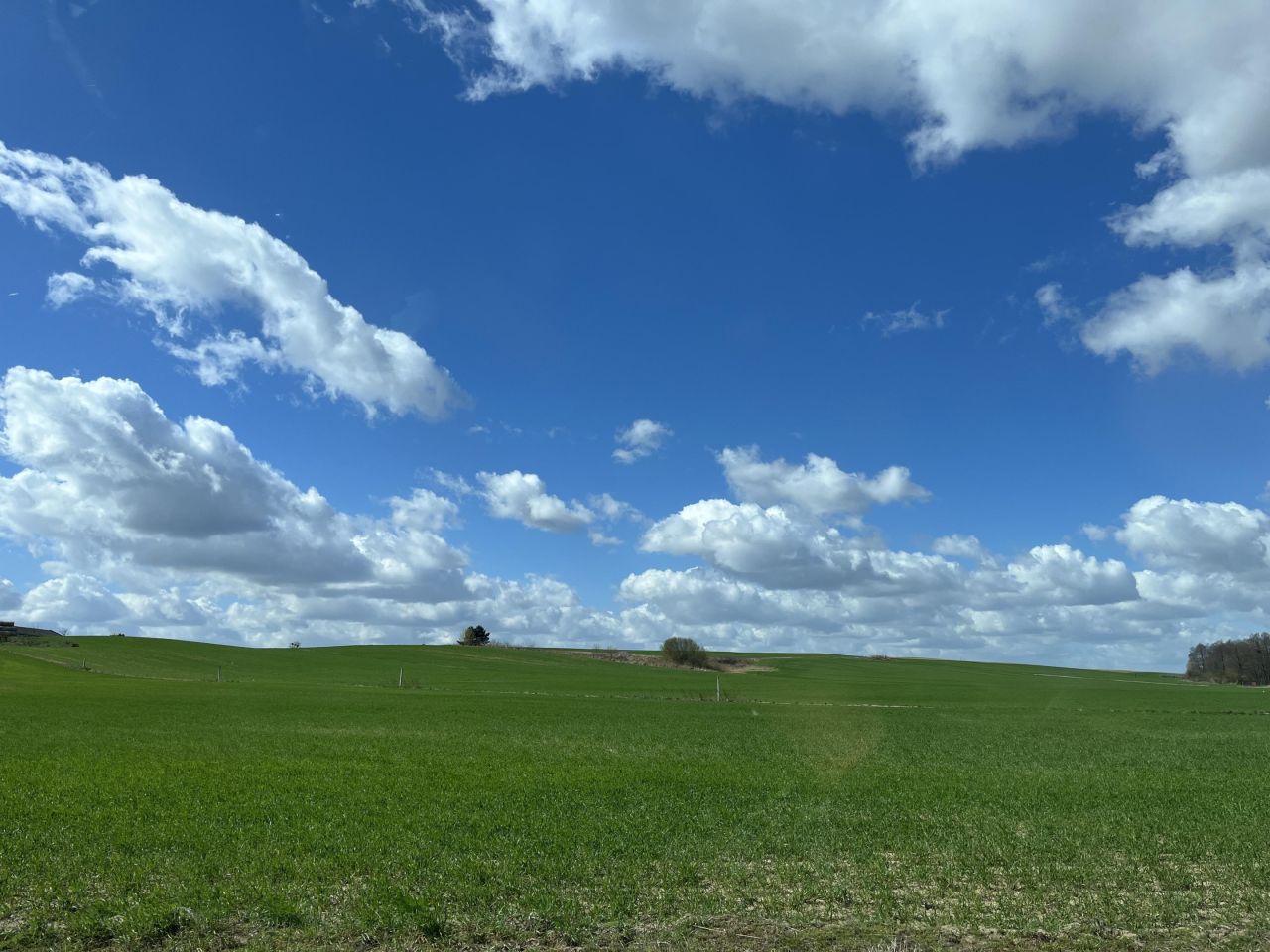 Działka budowlana Jaszkowo, Polna. Zdjęcie 7